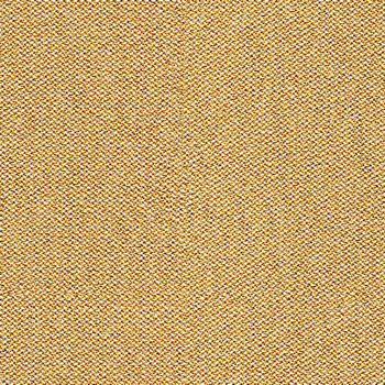 camira-era-cse31.jpg